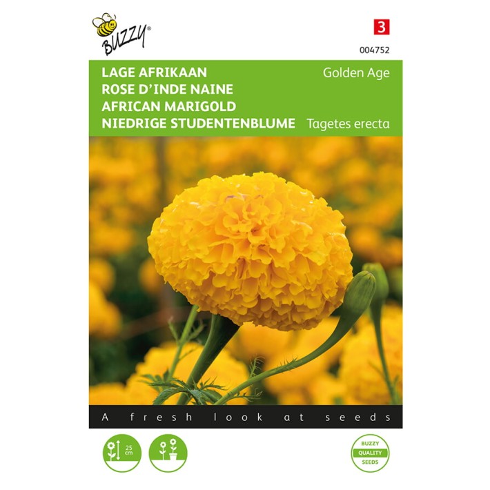 Buzzy® African Marigold Golden Age