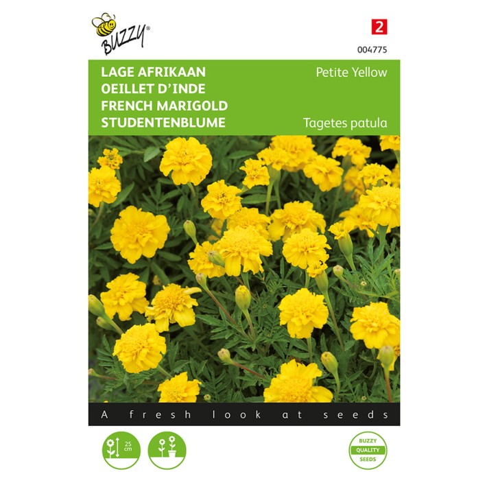 Buzzy® French Marigold Petite Yellow