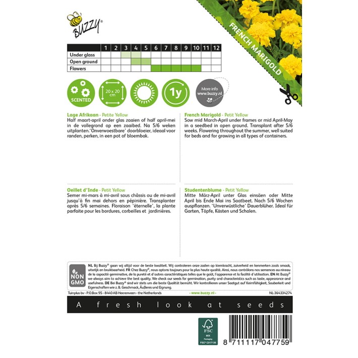 Buzzy® French Marigold Petite Yellow