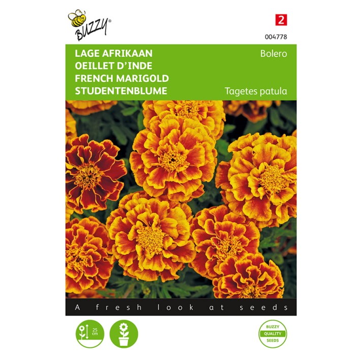 Buzzy® Tagetes patula nana Bolero