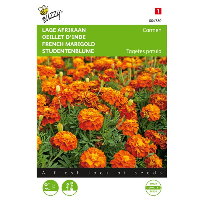 Buzzy® French Marigold Carmen