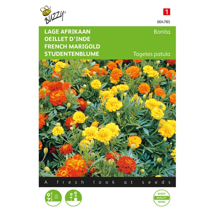 Buzzy® French Marigold Bonita