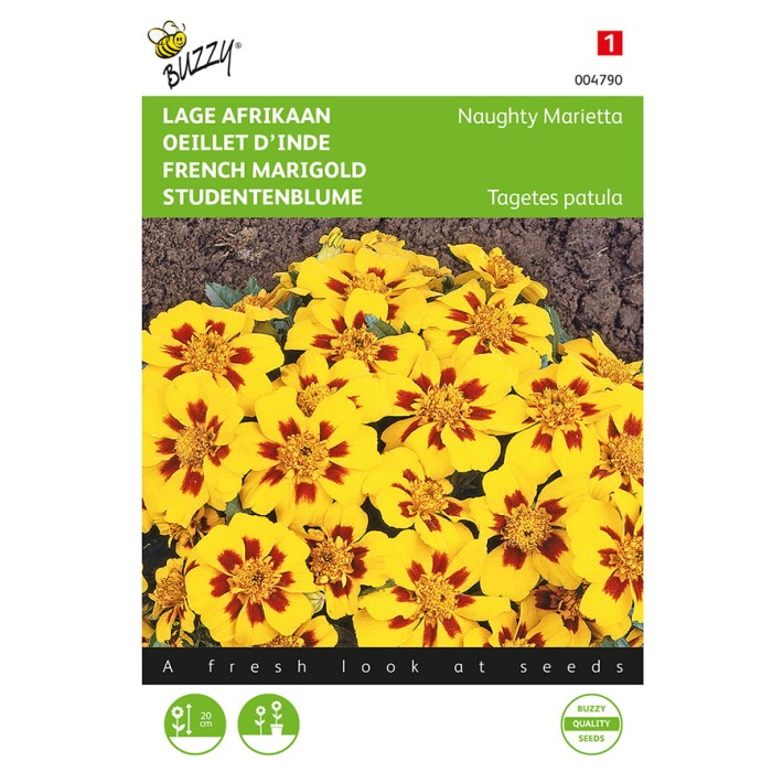 Buzzy® French Marigold Naughty Marietta