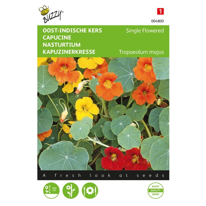 Buzzy® Nasturtium Climbing Single Flowered, mixed