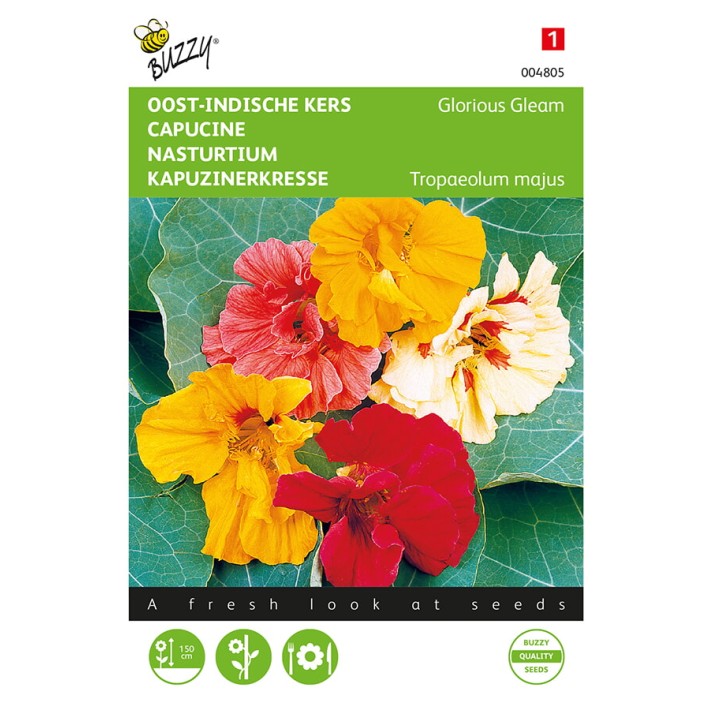 Buzzy® Nasturtium Glorious Gleam