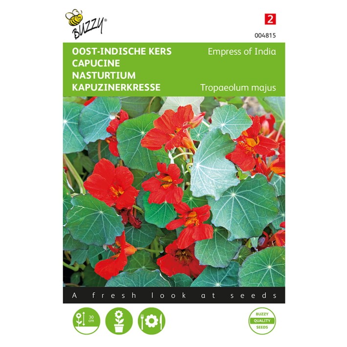 Buzzy® Nasturtium Empress of India
