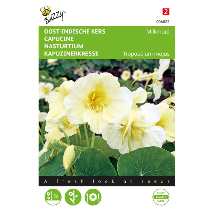 Buzzy® Nasturtium Milkmaid