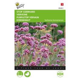 Verbena, Stijf Ijzerhard