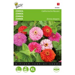 Zinnia Californische Reuzen gemengd