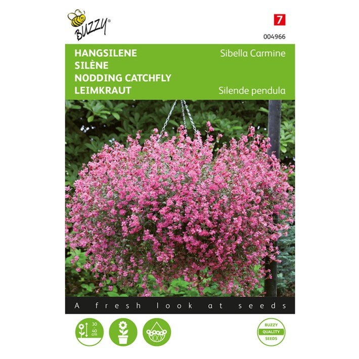 Buzzy® Nodding Catchfly Sibella Carmine