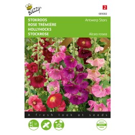 Althaea (Alcea), Stokroos Antwerp Stars mix