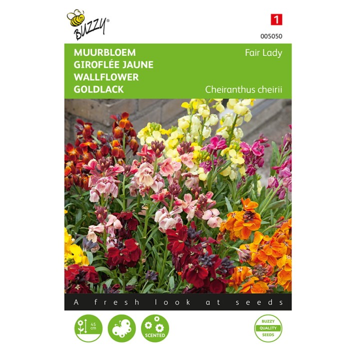 Cheiranthus , Muurbloem Fair Lady gemengd