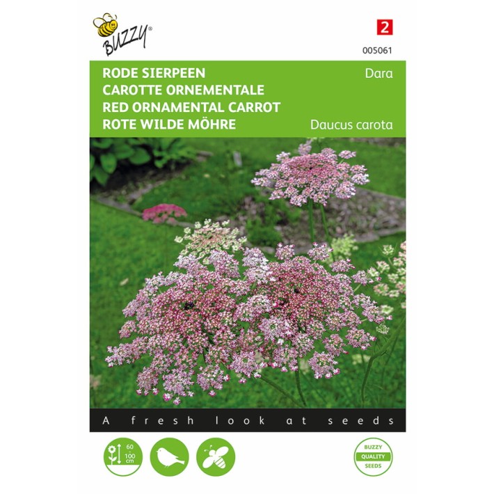 Daucus carota, Rode sierpeen Dara