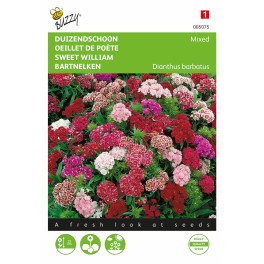 Dianthus, Duizendschoon laag gemengd