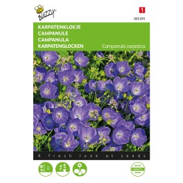 Campanula, Karpatenklokje Blauw