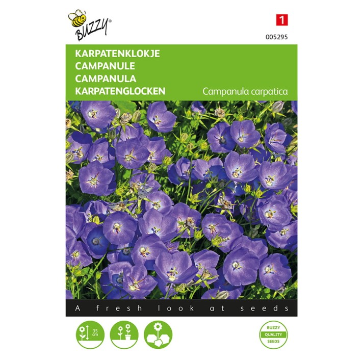 Buzzy® Campanula Blue