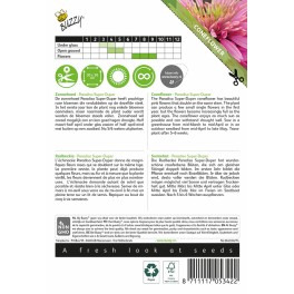 Echinacea, Zonnehoed Paradiso Super-Duper