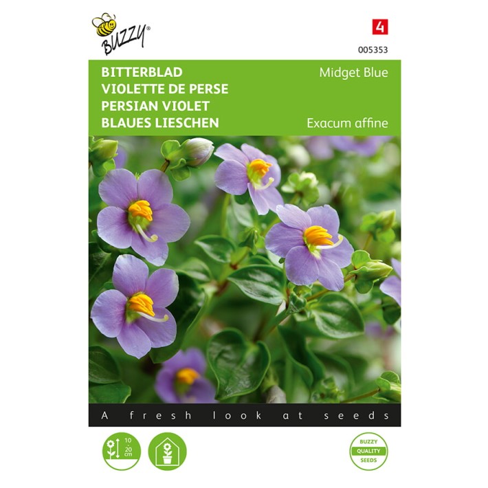 Exacum, Bitterblad Midget Blue