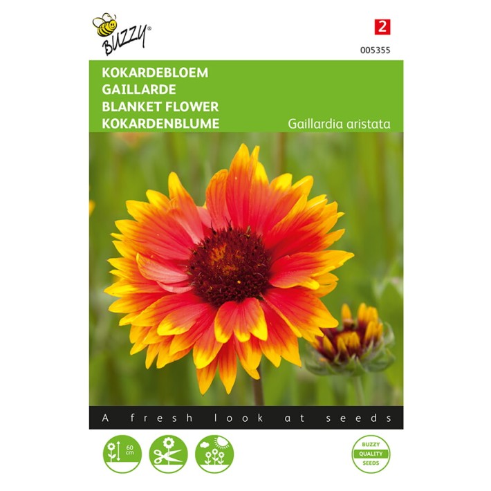 Gaillardia, Kokardebloem