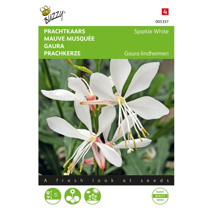 Gaura lindheimeri, Prachtkaars Sparkle White