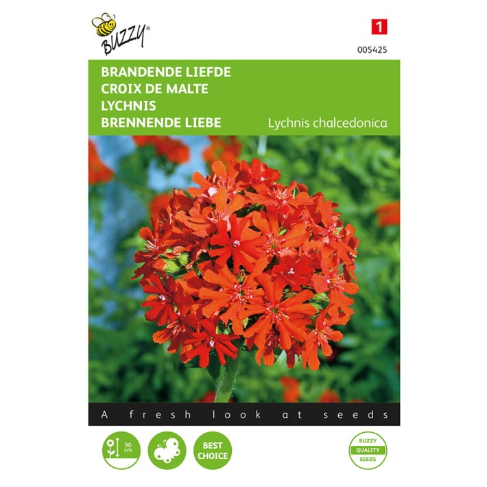 Lychnis, Brandende Liefde