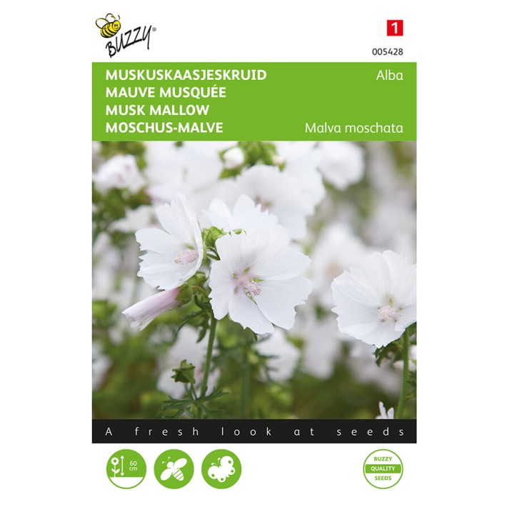 Buzzy® Malva, Musk Mallow Alba white