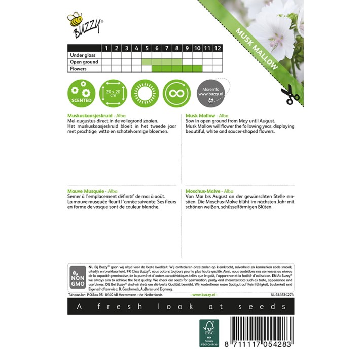 Buzzy® Malva, Musk Mallow Alba white