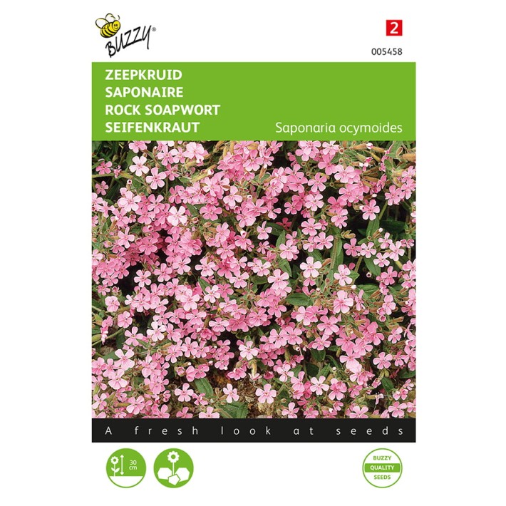 Saponaria, Zeepkruid