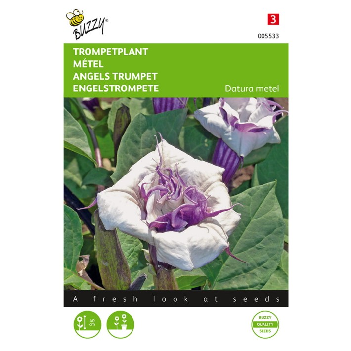 Datura, Trompetplant