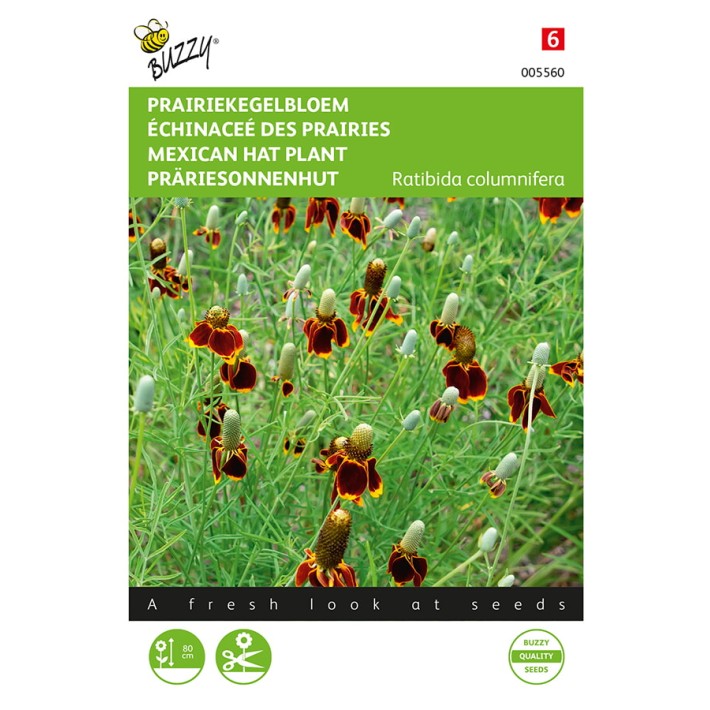 Rabibida, Prairiekegelbloem