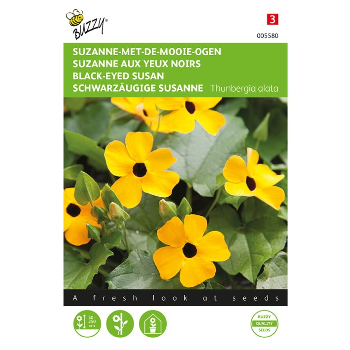 Buzzy® Black-Eyed Susan