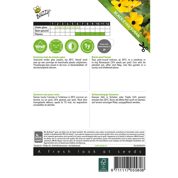 Buzzy® Black-Eyed Susan