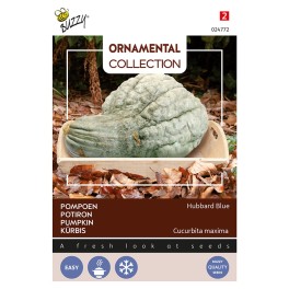 Ornamental Pompoen Hubbard Blue