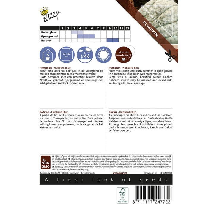 Buzzy® Ornamental, Pumpkin Hubbard Blue