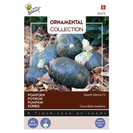Ornamental Pompoen Sweet Mama F1