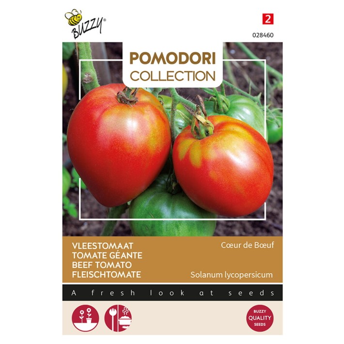 Buzzy® Pomodori, Tomate Géante Cœur de Bœuf
