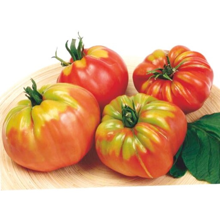Buzzy® Pomodori, Tomate Géante Cœur de Bœuf