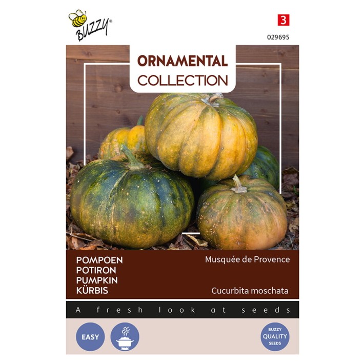 Buzzy® Ornamental Pumpkin Musque De Provence