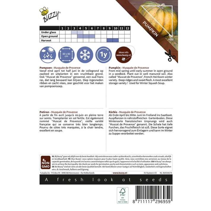 Buzzy® Ornamental Pumpkin Musque De Provence