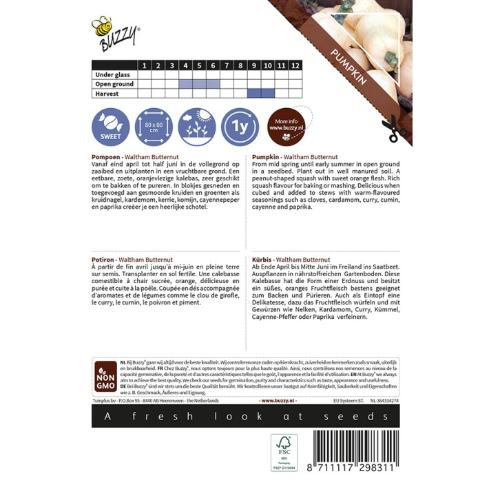 Buzzy® Ornamental Potiron Waltham Butternut