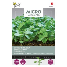 Microgreens, Citroenbasilicum