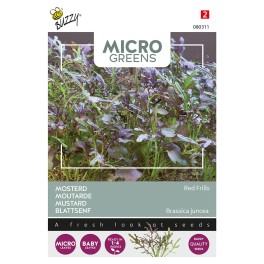 Microgreens, Mosterd Red Frills  Bladmosterd