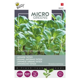 Microgreens, Japanse Tatsoi