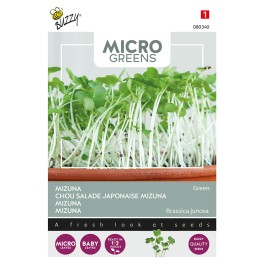 Microgreens, Mizuna Green Bladmosterd