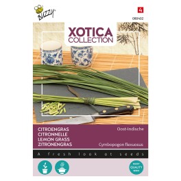 Xotica Citroengras
