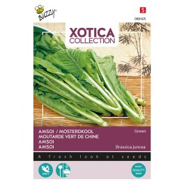 Xotica Groene Amsoi of Mosterdkool
