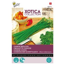 Xotica Chinese Knoflook Bieslook