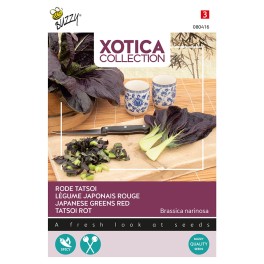 Xotica Japanse Tatsoi, rode