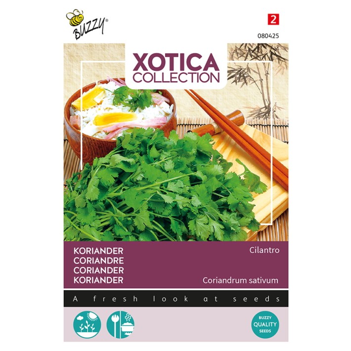 Buzzy® Xotica Coriandre Cilantro