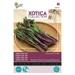 Xotica Hon Tsai Tai Choy Sum Purple
